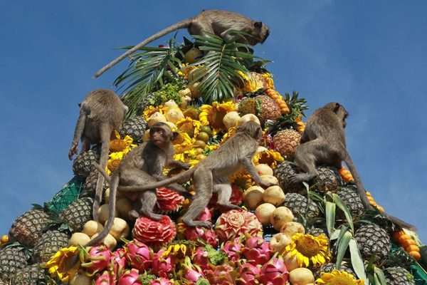 Lopburi Monkey Banquet Festival in Thailand