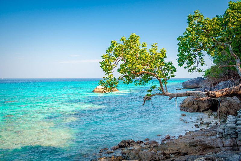 Magical nature at Donald Duck Bay