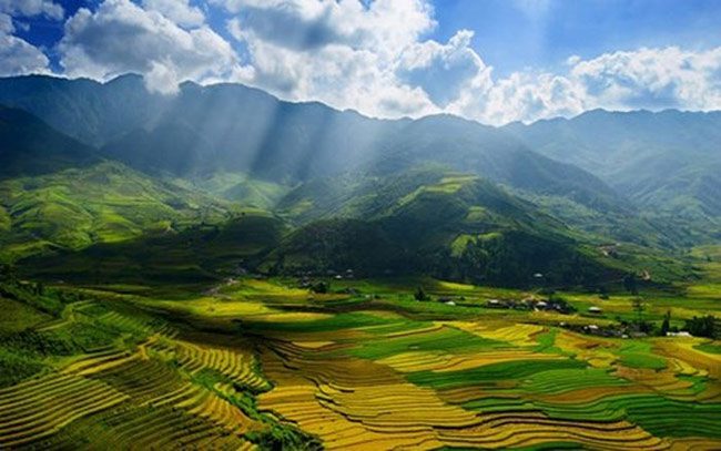 Harvesting season in Mai Chau