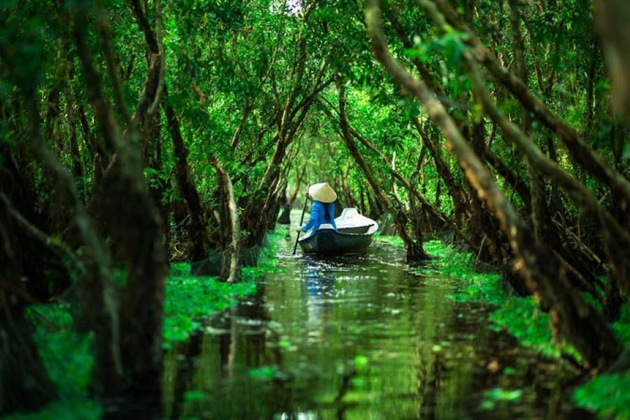 Tra Su Cajuput Forest reflects the timeless soul of Mekong Delta spirit