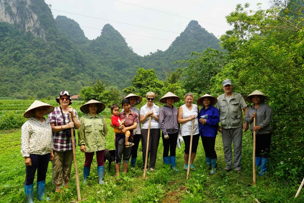 Request Vietnam tour quotations with Paradise Travel