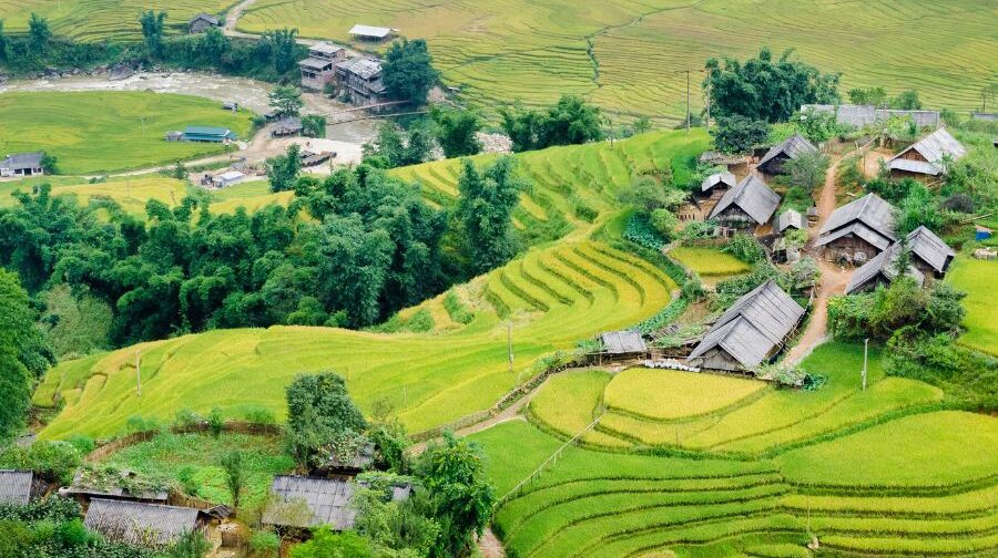 A scenic view of terraced rice fields in Mương Hoa valley, Sapa, with traditional wooden houses scattered among the terraces. A dirt path winds through the village