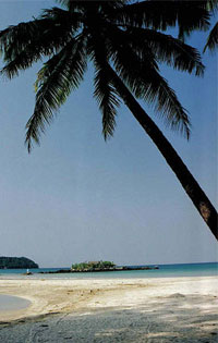 Ngapali Beach travel guides, Ngapali Beach tours in Myanmar