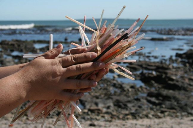 Millions of plastic straws are dumped into the ocean every year