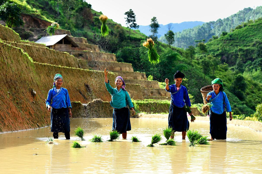 Nùng ethnic women