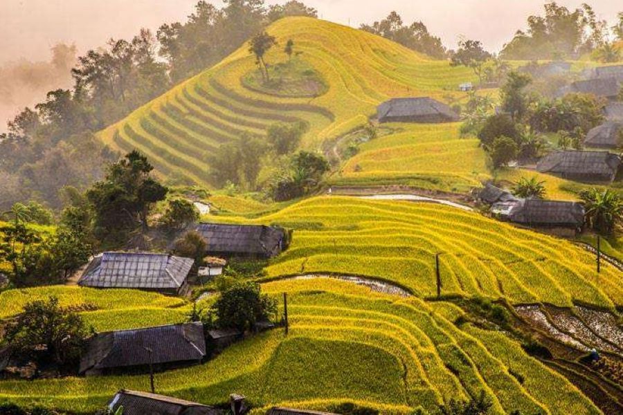 In Hoang Su Phi, Phung Village shines with timeless farming and culture.