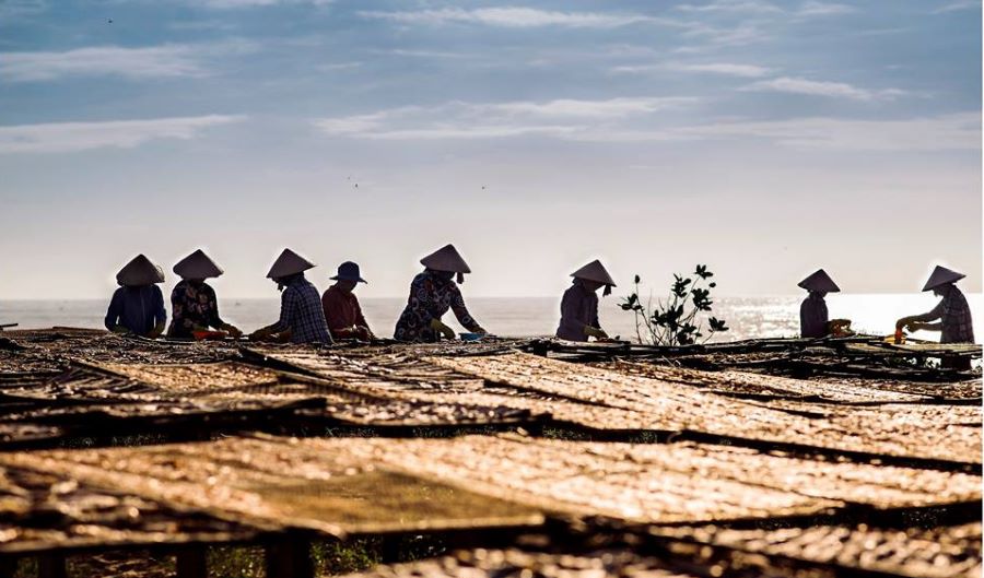 Peaceful waters surround Phuong Hai, one of many fishing villages in Vietnam