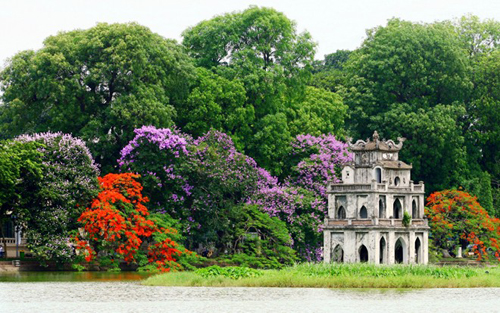 Purple lagerstroemia and red flamboyant flowers in Hanoi