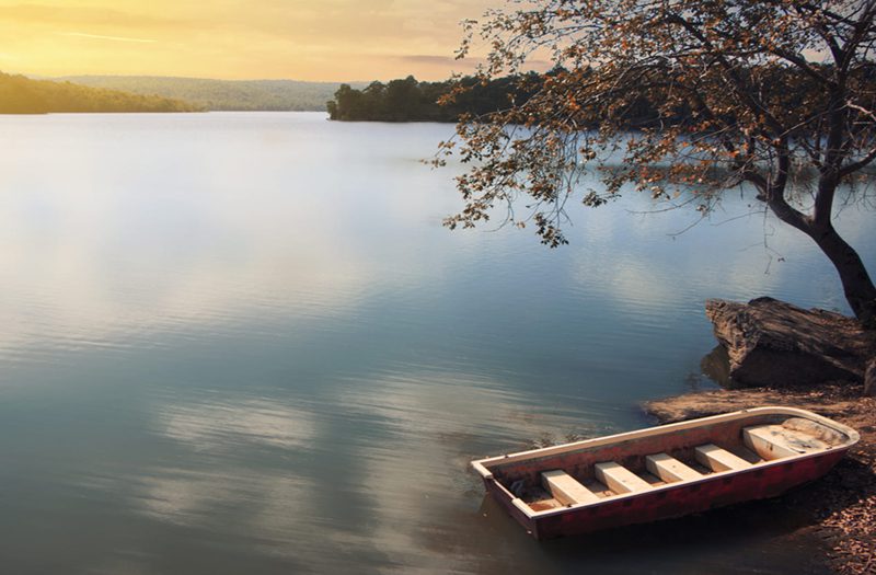 Poetic beauty of Khao Sok National Park