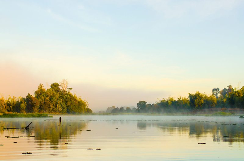 Most Spectacular National Parks in Vietnam to Explore