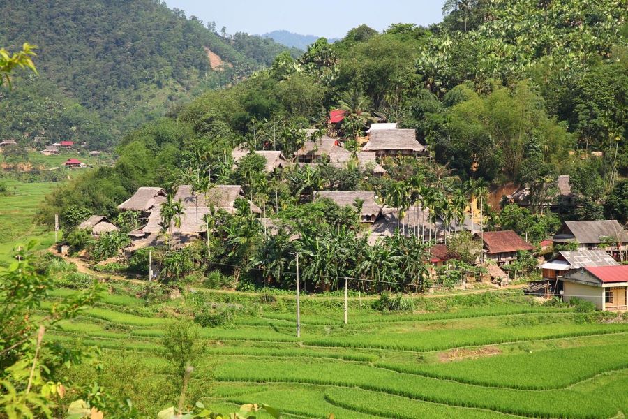 Explore Pu Luong’s lush rice terraces with Mai Chau Vietnam travel today.