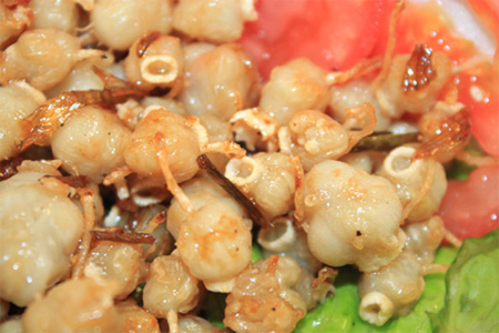 Grilled squid teeth, a seafood specialty in Phan Thiet