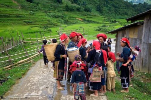 Red Dao women go to work in the fields