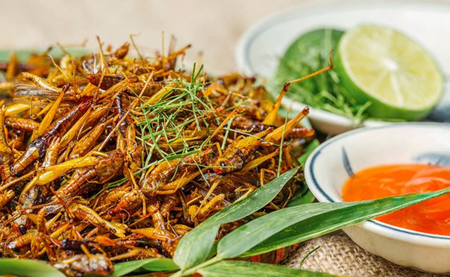 Crispy roasted grasshoppers served with herbs