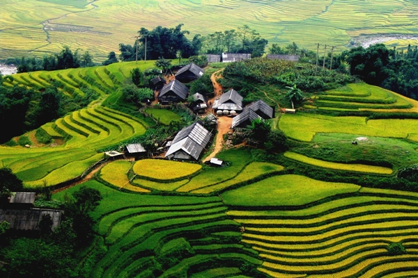 June in Vietnam brings Sapa’s green terraces alive under clear mountain skies.