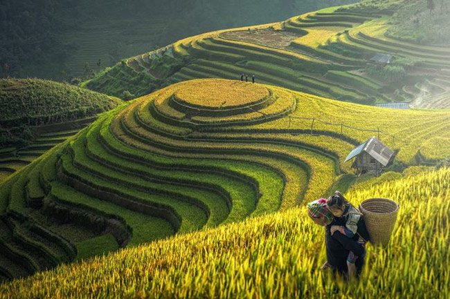 Travel with kids to Vietnam - Sapa