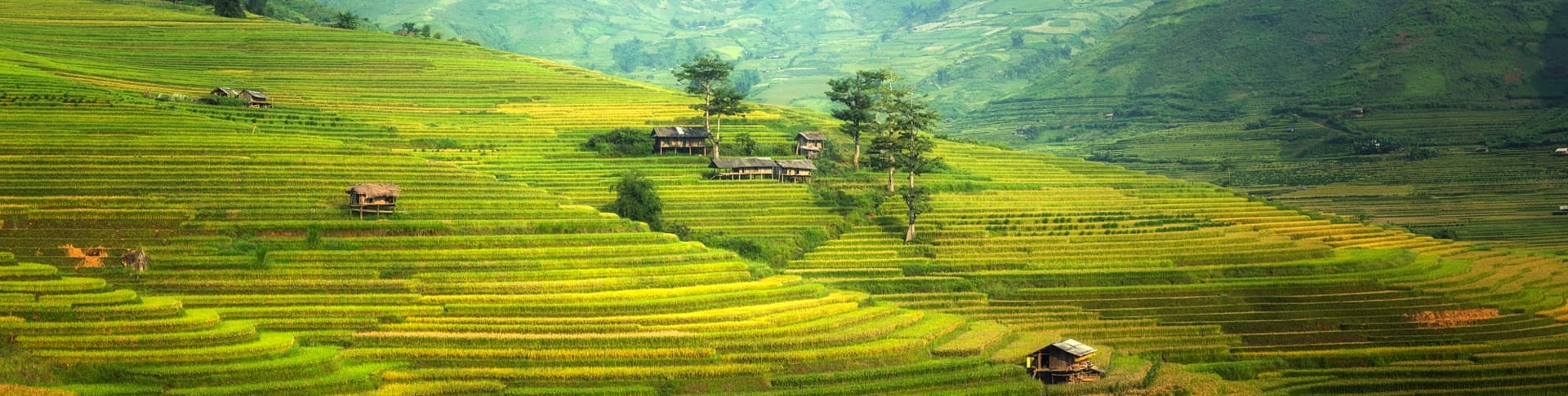 Vietnam Adventure and Eco Tour Combined in 15 days
