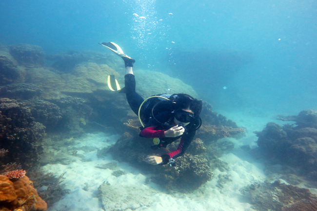 Scuba-diving at Con Dao - an unforgettable experience with the ocean