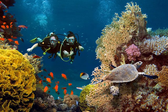 Scuba-diving in Phu Quoc