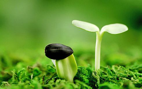 Vietnam responsible travel