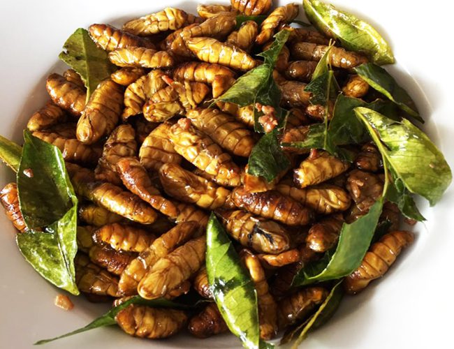 Stir-fried forest bee pupae with lemon leaves