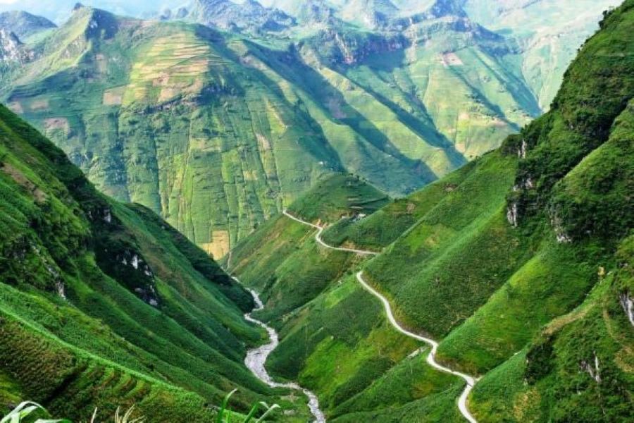 Blossoming hills and winding roads during the flower season in Ha Giang, Vietnam