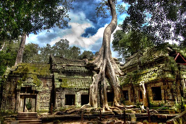 Ta Prohm Temple, Cambodia