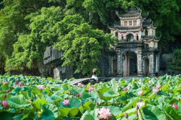 Lotus season in Tam Coc Vietnam