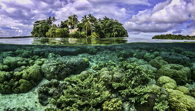 The coral island, a true tropical paradise in Phuket