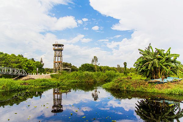 The lonely tower in U Minh Thuong National Park