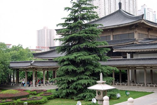 The Shaanxi History Museum - Xian Travel Guide