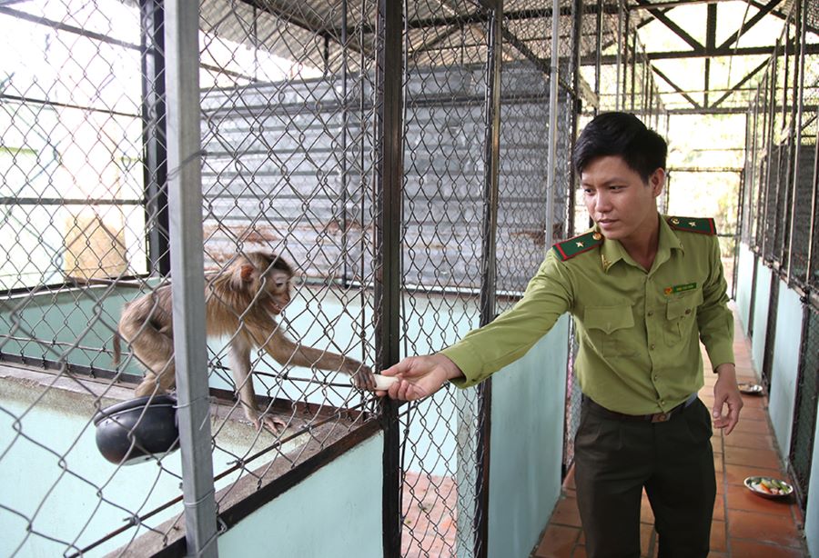 Cu Chi Tunnels Tour connects history and nature at the wildlife rescue site.