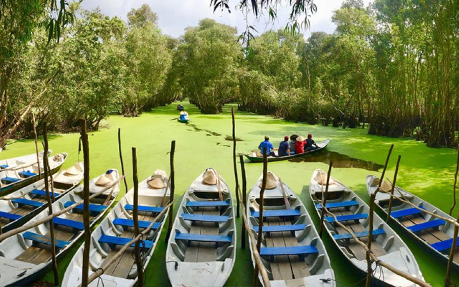 Tra Su Cajuput Forest offers kayaking and peaceful nature escapes daily