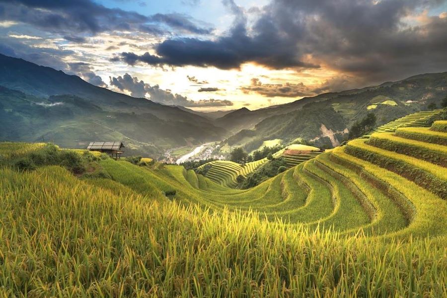 In Hoang Su Phi, Thong Nguyen radiates culture through stunning rice terraces.