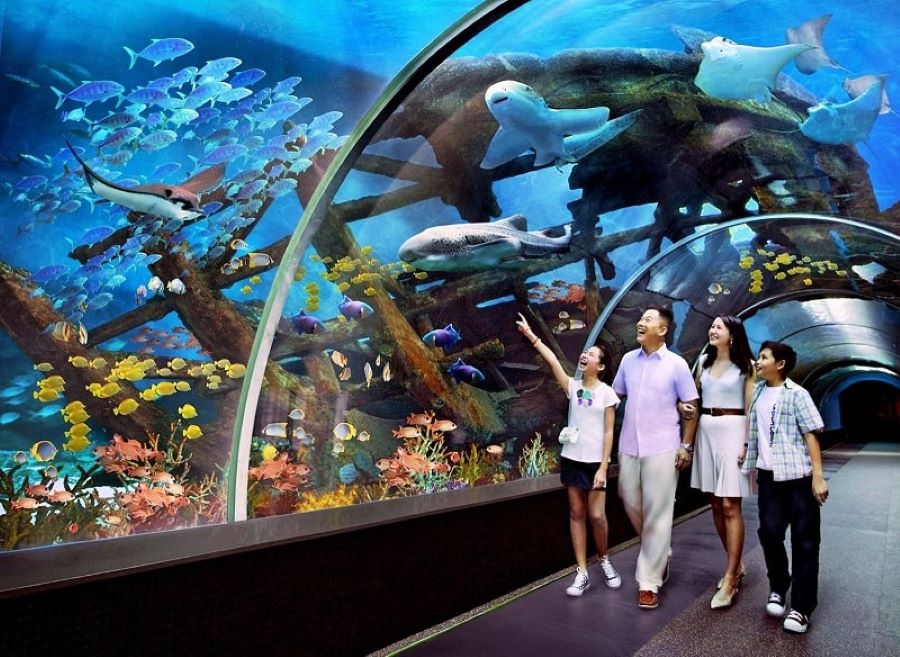 Discover vibrant sea life inside Thuy Cung Suoi Tien, Suoi Tien theme park.