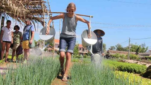 Be a farmer at Tra Que village in your Vietnam tour in 10 Days from Hanoi