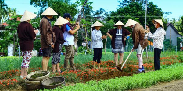 Visitors can directly experience Vietnamese agriculture