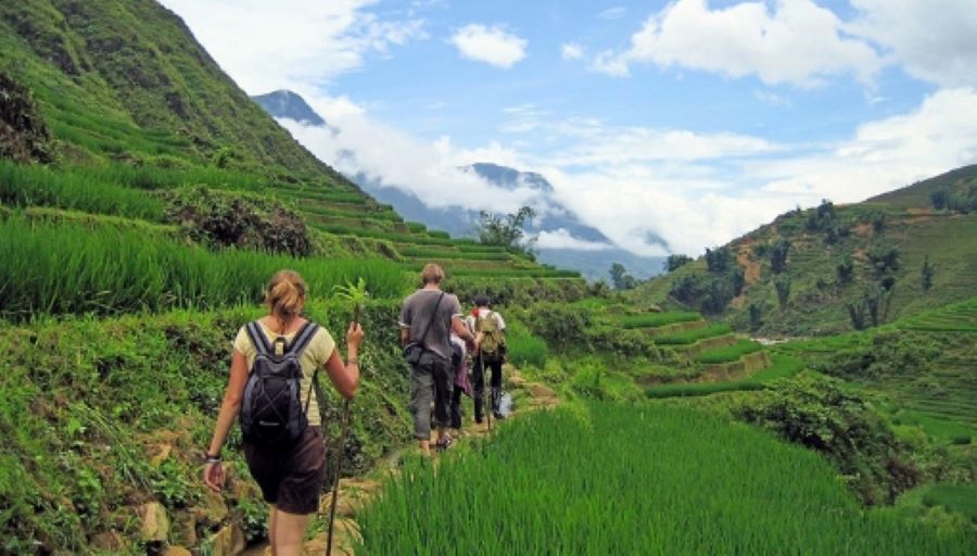Hiker trekking a mountain trail surrounded by blooming flowers during the flower season in Ha Giang