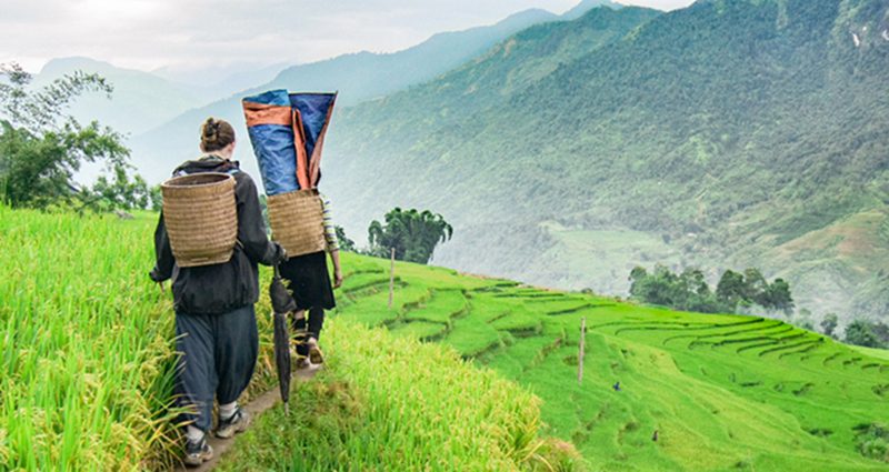Hikng and trekking in Sapa
