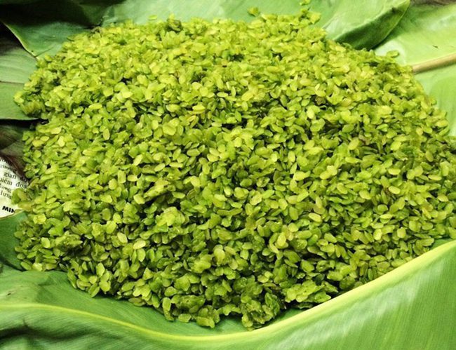 Tu Le green sticky rice (com xanh) wrapped in lotus or banana leaves