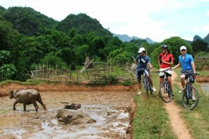 Vietnam cycling tour