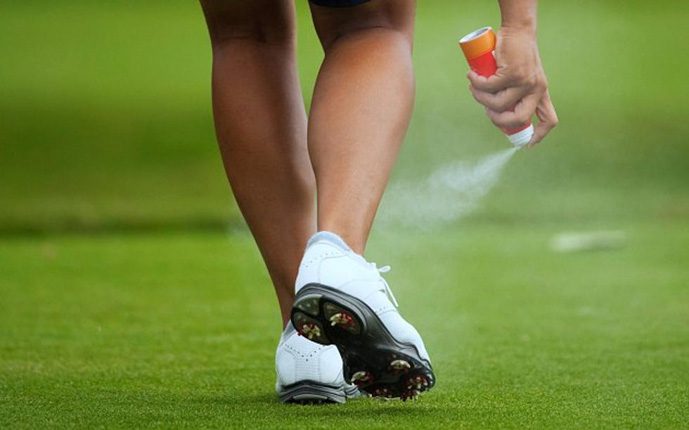 Carry mosquitoes repellents in Vietnam