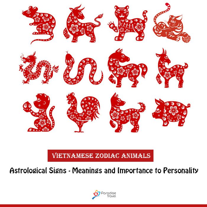 Vietnamese Zodiac Animals and Astrology