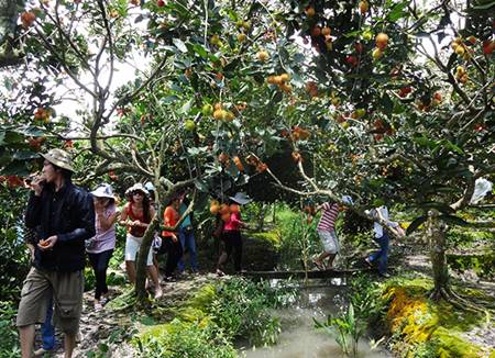 Vinh Long Orchard Garden.