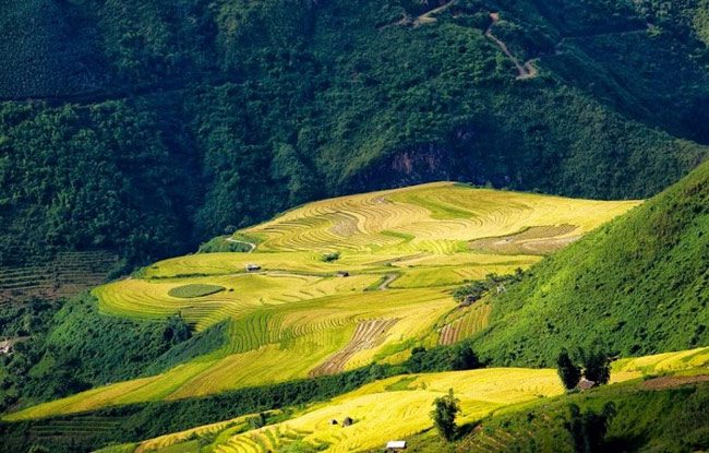 You can find perfect tranquility in Y Ty