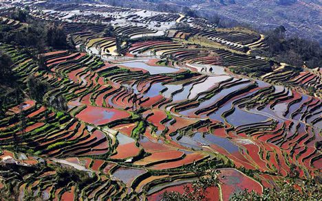 Yuanyang Rice Terraces