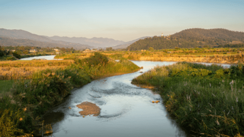Mae Kok River, Chiang Rai