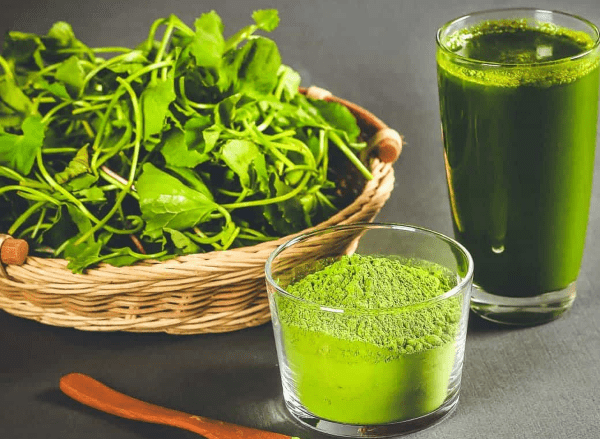 Centella Asiatica juice is a popular drink in Vietnam 