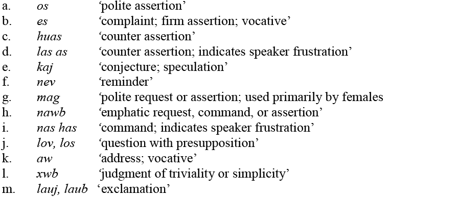 Hmong People preserve heritage by passing down the Hmong-Mien language through generations.