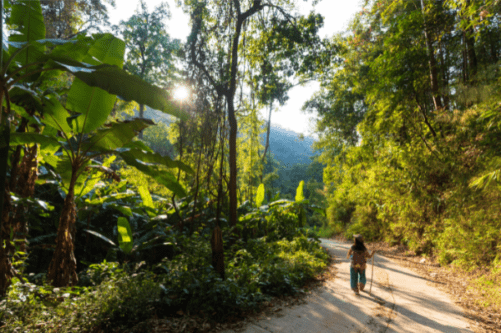 Solo trekking in Thailand for a more liberating experience